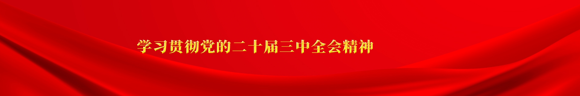 學習貫徹黨的二十屆三中全會精神
